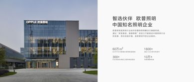 全视角解析 产品价格、参数、图片与技术服务的综合评估